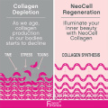 I peptidi di collagene promuovono la polvere multi di collagene